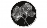 Круглая картина Pintdecor Linee Floreali