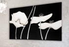 Декоративная панель Pintdecor P2882 Белые маки 120x70см