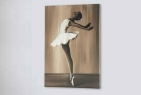 Декоративная панель Pintdecor BALLET P3076