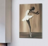 Декоративная панель Pintdecor BALLET P3076