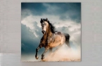 Картина Pintdecor Cavallo g1560