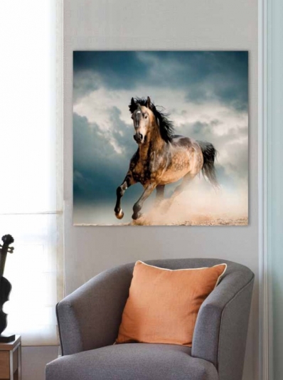 Картина Pintdecor Cavallo g1560